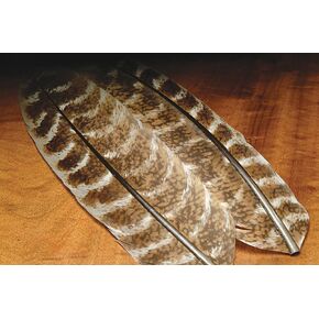Hareline Dubbin Hare Turkey QUILL Ozark
