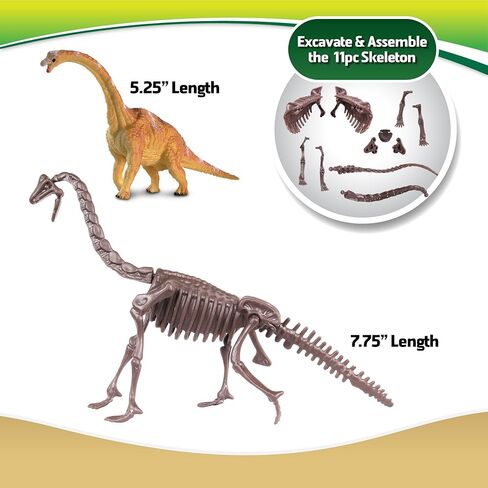 katz trimming / trims unlimited Wow World Dino DIG Excavation Playset STEM Science Tech Math 2 in 1-Brachiosaurus , Triceratops , Pterodactyl (Triceratops 3273) in Kuwait