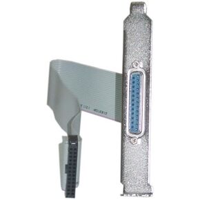 CableWholesale IDC 10/DB9 Male Motherboard Serial Port Connector Cable (WS09-0010M)