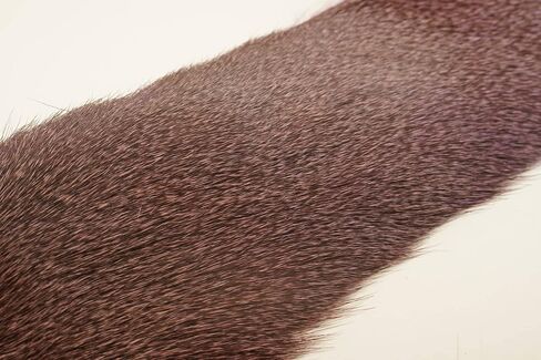 Premo Deer Hair Strips in Saudi Arabia
