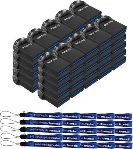 SanDisk Ultra Fit USB 3.1 16GB Flash Drive (50 Pack) High Speed, Small, Low Profile Pen Drives for Computer or Laptop Storage (SDCZ430-016G-G46) Bundle with (25) Everything But Stromboli Lanyards in Kuwait