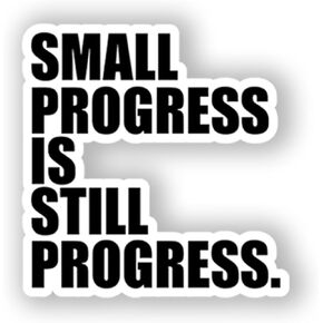 (3PCS) Small Progress is Still Progress, Vinyl Stickers Decorate for Bookish Stickers Water Bottles,Phone, Books, Laptop, Kindles, Gifts Women Men Decals, Funny Gifts (3 inches)