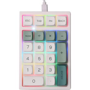 EPOMAKER TH21 21 Keys Hot Swappable Mechanical Gaming Numpad, 3 Modes(2.4Ghz/Bluetooth 5.0/Wired) Programmable RGB Numeric Keypad with PBT Keycaps for Win/Mac (Botanic Garden, Gateron Pro Yellow)