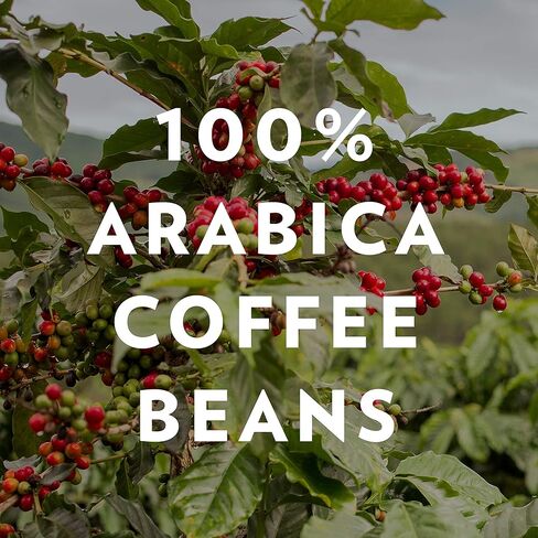 Community Coffee French Roast Dark Roast Ground 12 oz 3 ct Gable Top 12 Ounce (Pack of 3) in Saudi Arabia