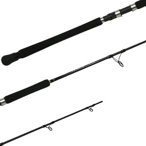 Shimano Terez Spinning Saltwater|Spinning Fishing Rods