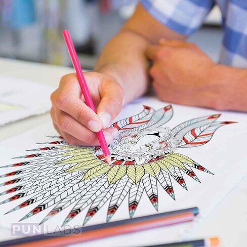 Shades of Anatomy Colored Pencil Set for Fans of Grey's Anatomy | Set of 12 Grey's Anatomy-Inspired Parody Pencils | Each Color Pencil is Foil-Stamped with Clever Show References | Great Gift for Fans in Kuwait