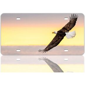 License Plate Colorful Sunset with Palm Trees Decorative Metal Car Tag Front Plate License Plate Cover Vanity Decor Rust-Proof Aluminum License Plate