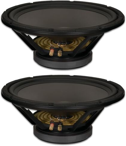 Goldwood Sound, Inc. مضخم صوت مسرحي، مكبرات صوت عالية التحمل 8 أوم مقاس 15 بوصة بقدرة 550 وات لكل مجموعة مكبرات صوت بديلة (GW-15PC-8-2) in Saudi Arabia