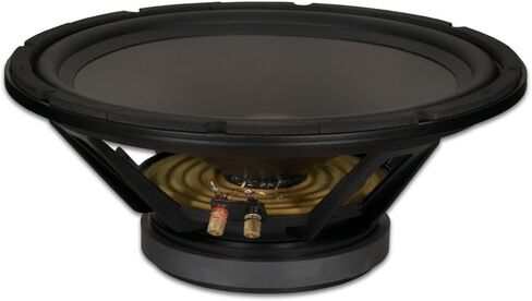 Goldwood Sound, Inc. مضخم صوت مسرحي، مكبرات صوت عالية التحمل 8 أوم مقاس 15 بوصة بقدرة 550 وات لكل مجموعة مكبرات صوت بديلة (GW-15PC-8-2) in Saudi Arabia