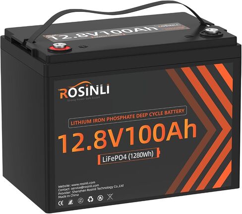 12V 100Ah Mini LiFePO4 Battery, Smaller than Group 24 Built in BMS, 4000-15000 Deep Cycles, 10-year Lifetime for RV, Trolling Motor, Camping, Marine, Solar, Home Energy Storage in Saudi Arabia