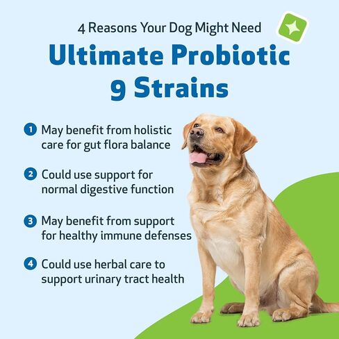 Pet Wellbeing Ultimate Probiotic 9 Strains for Dogs & Cats - Healthy Digestion, Immune Support, Urinary Tract Health - 5.64 oz (160 g) in Saudi Arabia