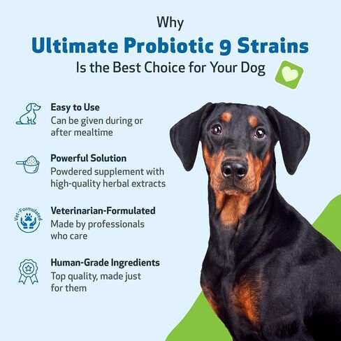 Pet Wellbeing Ultimate Probiotic 9 Strains for Dogs & Cats - Healthy Digestion, Immune Support, Urinary Tract Health - 5.64 oz (160 g) in Saudi Arabia