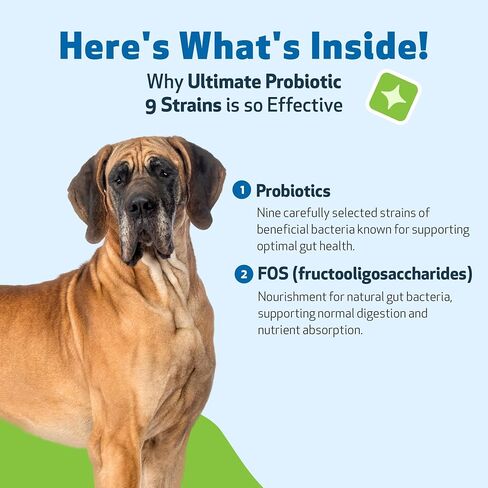 Pet Wellbeing Ultimate Probiotic 9 Strains for Dogs & Cats - Healthy Digestion, Immune Support, Urinary Tract Health - 5.64 oz (160 g) in Saudi Arabia