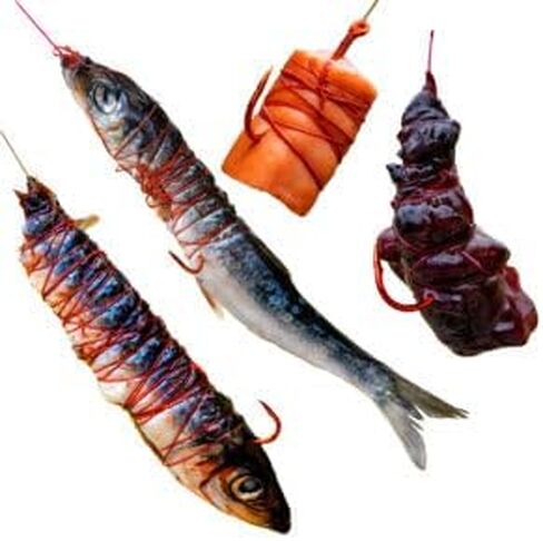 Co. Catfish Fire Thread - Blood Red ، Dating and Absistant -Drosistant Pait Thread ، لا يوجد عقدة مطلوبة لكبد الدجاج ، الروبيان ، الطعم المحار والقطع ، مثالي لجميع الصيادين in Saudi Arabia