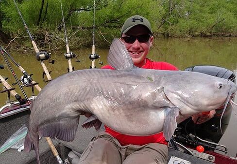 Co. Catfish Fire Thread - Blood Red ، Dating and Absistant -Drosistant Pait Thread ، لا يوجد عقدة مطلوبة لكبد الدجاج ، الروبيان ، الطعم المحار والقطع ، مثالي لجميع الصيادين in Saudi Arabia