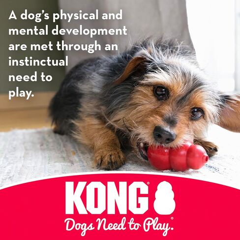 KONG Stuff-A-Ball Treats Dispense Dog Toy - Stuffable Dog Toy - Stuff Treats for Mental Enrichment - Dental Dog Toy for Healthy Teeth & Gums - Large Dogs in Saudi Arabia