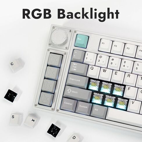 L3 TKL Layout Wireless QMK/Launcher Full-Metal Hot-Swappable RGB Backlight Custom Mechanical Keyboard for Windows/Linux, Gateron Red Switch, Fully Assembled Knob - Silver in Saudi Arabia