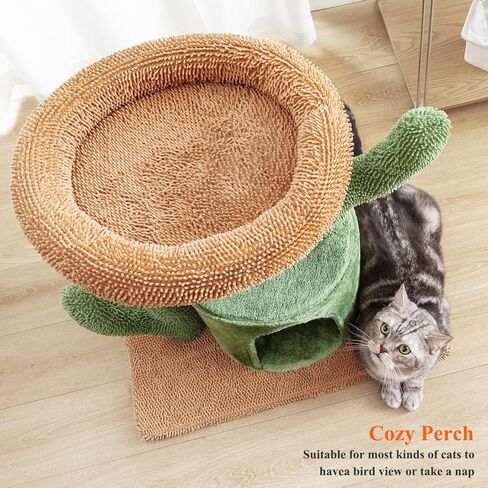 شجرة قطط كيلودور للقطط الداخلية، برج قطط صبار مقاس 24.5 بوصة مع مجثم علوي مبطن كبير، منزل هريرة، عمود خدش للقطط متوسط in Kuwait