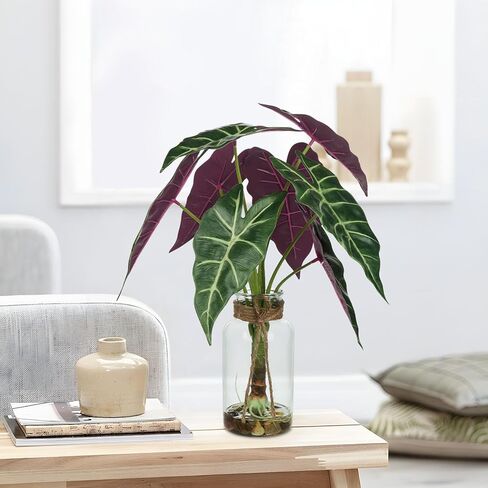Briful 17 بوصة نبات وهمي لمسة حقيقية نبات Alocasia Bambino الاصطناعي في وعاء الحضانة الأسود فو Alocasia Polly Houseplant للجرف الطاولة المركزية ديكور المنزل المزرعة، أرجواني أخضر in Saudi Arabia
