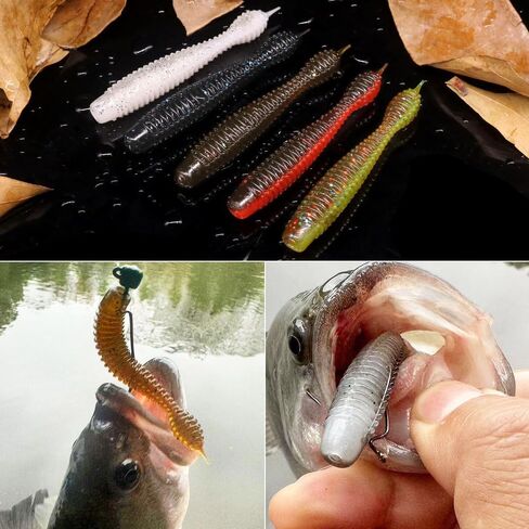 Ned-Rig-Kit-Finesse-Baits-Soft-Plastic-Worms-Fising-إغراء لعصا البيس سويمبيت جراد البحر السحر Shroom Ned Jig Head Kit in Kuwait