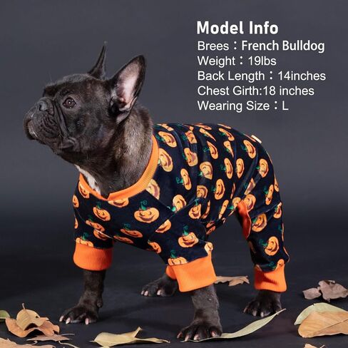 KYEESE Velvet Dog Pajamas for Large Dogs Onesie for Daily Wear, Dinosaur in Kuwait
