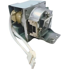 Advanced Lamps™ 5J.J9205.001 Lamp & Housing for BenQ Projectors