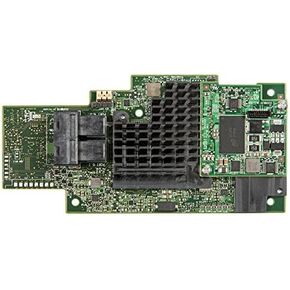 Integrated Raid Module