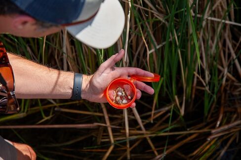 fishpond Fly Puck | Fly Fishing Fly Storage (Baja Blue) in Saudi Arabia