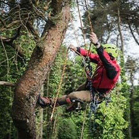 Cyfie 3-Claw 4-Claw سن المنشار تصارع هوك، مع 10M / 33ft 8mm حبل مساعد الفولاذ المقاوم للصدأ مخلب حلقة تسلق لأداة الصيد المغناطيس النشاط في الهواء الطلق in Saudi Arabia