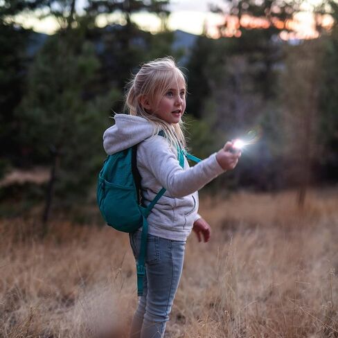 اكتشافات كبيرة مصباح يدوي WildLight Animal Carabiner - أضواء فلاش سلسلة مفاتيح صغيرة ممتعة للأطفال والممرضات والتخييم in Saudi Arabia
