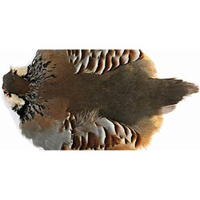 Hungarian Partridge Half Skin - Natural