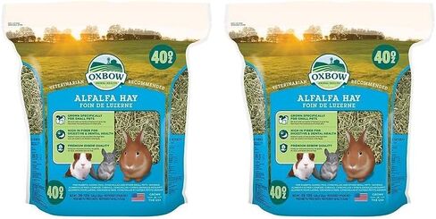 Oxbow Animal Health Alfalfa Hay - All Natural Hay for Young, Pregnant, or Nursing Small Pets - 40 oz. in Saudi Arabia