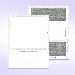 NextDayLabels - 8-1/2" x 11" Z Fold Pressure Seal Self Mailer Checks (Blue-250)