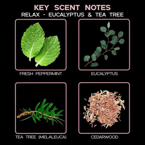 مجموعة هدايا LOVSPA Relax من شجرة الشاي والأوكالبتوس العطرية والزيوت العطرية | نباتات حقيقية داخل الزجاجة | رائحة منعشة تشبه السبا in Kuwait