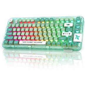 YUNZII CK75 Wireless Hot Swappable Mechanical Keyboard, Transparent Acrylic Gasket Mounted Keyboard for for Windows/Mac(Meow Switch,Mint Green)