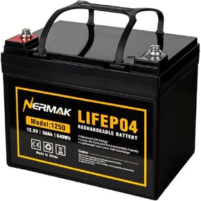 12V 50Ah LiFePO4 Deep Cycle Battery,4000+ Cycles Lithium Iron Phosphate Rechargeable Battery for Solar, Marine, Home Energy Storage, Off-Grid Applications and More, Built-in 100A BMS