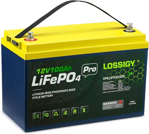 Lostigy 12V 100ah LifePo4 Lithium RV بطارية ، مثالية للنظام الشمسي ، البحرية ، 1280WH 5000+ دورات عميقة ، بنيت في BMS مع 10 سنوات عمر in Kuwait