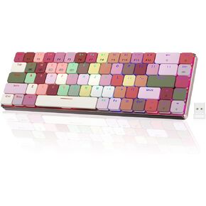 RisoPhy RGB Wireless Keyboard,60% Mechanical Gaming Keyboard with Metal Base,2.4G/Type-C/Bluetooth Keyboard with Low Profile Clicky Blue Switches,Programmable 60 Percent Keyboard for Ipad,PC,Mac,Xbox