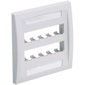 Panduit CFPE10WH-2GY 2-Gang 10-Port Faceplate ، White