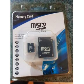 Kingston 1 GB Micro SD Card (Retail Package)