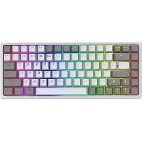 YUNZII KC84 84 Keys Hot Swappable Wired Mechanical Keyboard with PBT Dye-subbed Keycaps, Programmable, RGB,NKRO,Type-C Cable for Win/Mac/Gaming/Typist (Gateron Blue Switch, White)