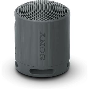 Sony SRS -XB100 - مكبر صوت محمول بلوتوث اللاسلكي ، W128564633 (مكبر صوت محمول بلوتوث ، متين IP67 مقاوم للماء ومقاوم للغبار ، بطارية 16 ساعة ، إيكو ، في الهواء الطلق والسفر)