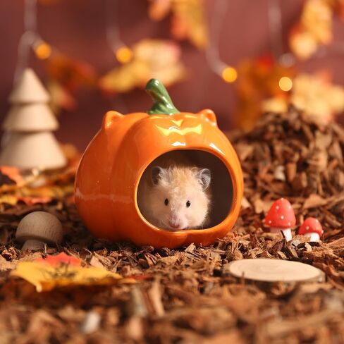 Tafit Hamster Sand Bath Container Small Animals Honey Pot Bathtub Ceramics Toilet Shower Digging Bathroom for Dwarf Syrian Hamster, Gerbils, Hedgehogs, Mice, Rats, Lemming, Small Pets Cage Accessories in Kuwait