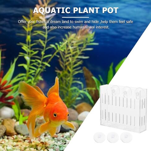 Mipcase 3pcs وعاء حجم الإطار الفراولة ديكور الأواني الحية المناظر الطبيعية العشب حامل خزان صغير رف النباتات الذاتي سقي الأسماك في الهواء الطلق شفافة مع النباتات المنزلية المزارعون نبات المياه S الروبيان in Kuwait