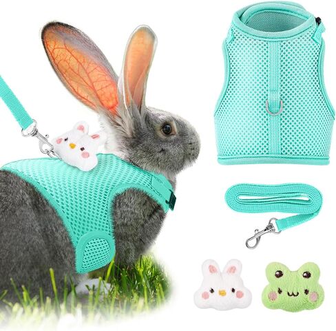 Bunnycool 1 قطعة حزام ومقود أرنب مع 2 ديكورات لطيفة، سترة شبكية ناعمة قابلة للتنفس، ملابس أرنب قابلة للتعديل للأرانب، مستلزمات المشي للجرو والخنازير الصغيرة (وردي، جزر، قطة) in Saudi Arabia
