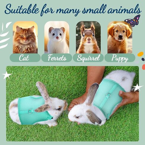 Bunnycool 1 قطعة حزام ومقود أرنب مع 2 ديكورات لطيفة، سترة شبكية ناعمة قابلة للتنفس، ملابس أرنب قابلة للتعديل للأرانب، مستلزمات المشي للجرو والخنازير الصغيرة (وردي، جزر، قطة) in Saudi Arabia