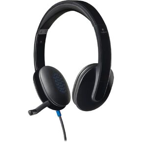Logitech USB Headset H540 for PC Calls and Music in Bulk Packaging plus Bonus Accessories