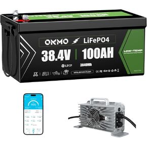 12V 20Ah LiFePO4 Lithium Battery, 4000+ Deep Cycles Rechargeable Battery with Built-in 20A BMS, Lightweight, for Kayak Fish Finder, Solar Panel, Power Wheels Toys, Scooter