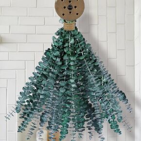 38 قطعة من سيقان الأوكالبتوس المجففة للاستحمام - 17 بوصة نبات دش الأوكالبتوس المحفوظ الحقيقي، فروع الأوكالبتوس الطازجة تترك النباتات الخضراء معلقة، ترتيب الزهور، الزفاف، المنتجعات الصحية المنزلية، حشو المزهرية in Kuwait