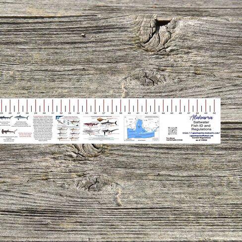 STATE COASTAL FISH RULER with FISH ID and FISHING REGULATIONS - 50 INCH RULER DECALS in Saudi Arabia
